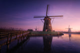 Frozen Kinderdijk Poster och Canvastavla