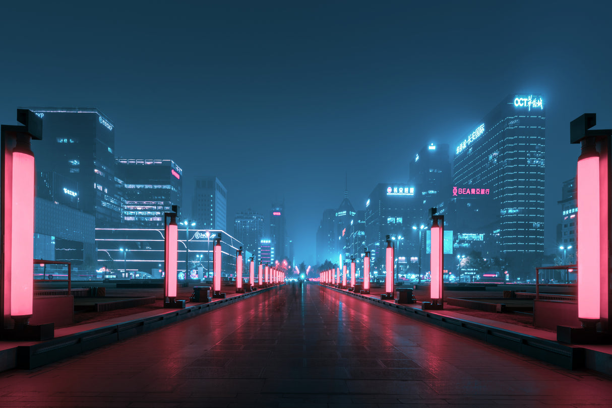 未知城市 Poster och Canvastavla