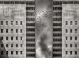 Migration Poster och Canvastavla