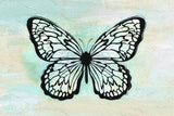 Vintage Butterfly Poster och Canvastavla