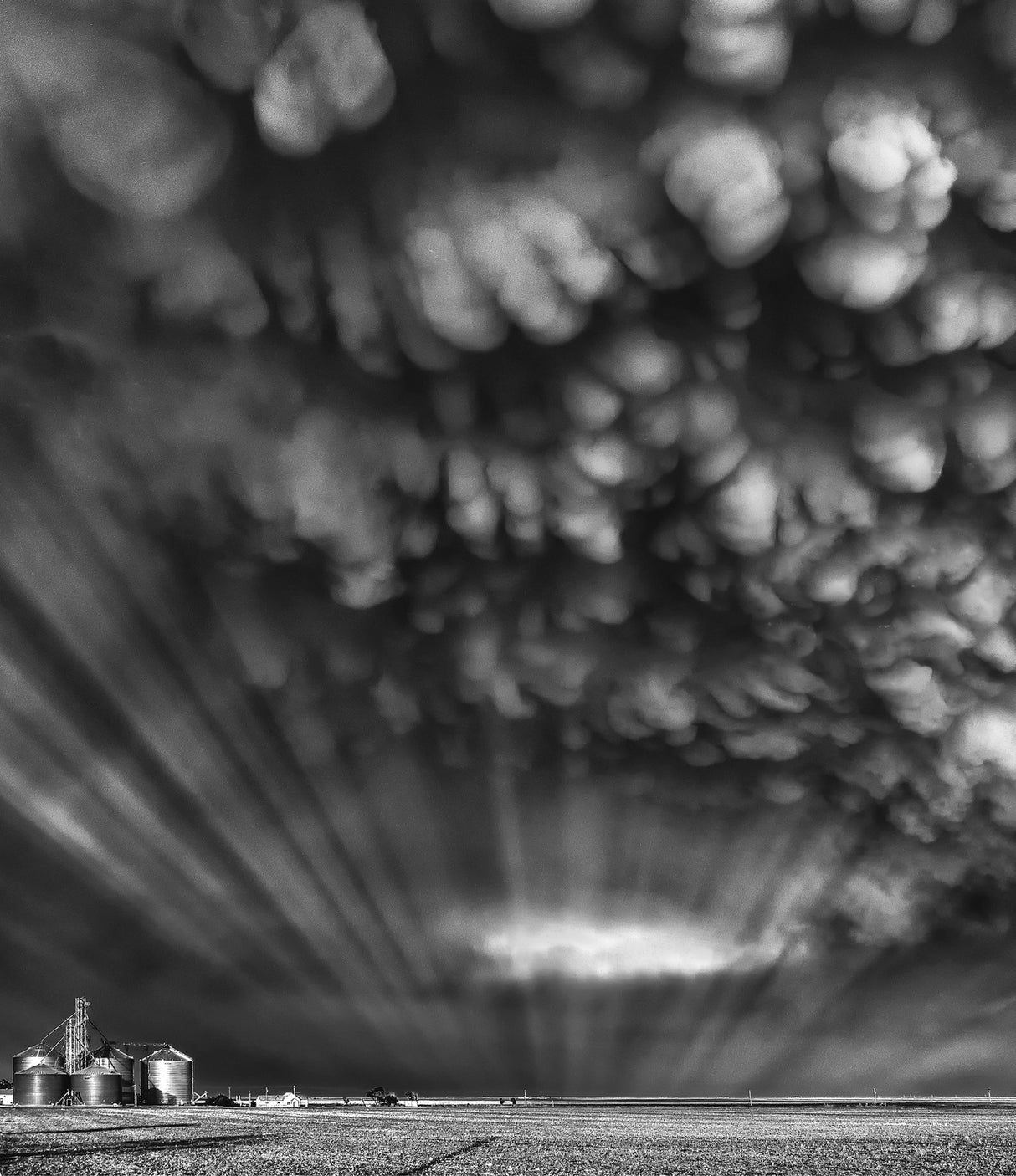 Monochrome Mammatus Poster och Canvastavla