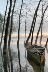 Serene Dawn Poster och Canvastavla