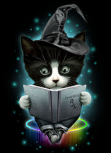magical cat Poster och Canvastavla