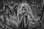 Little Shy Girl Poster och Canvastavla