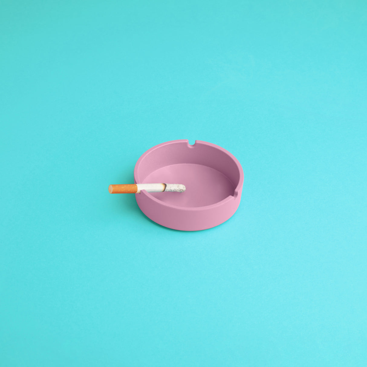 Ashtray.3.1 Poster och Canvastavla