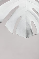 Monstera White 06 Poster och Canvastavla