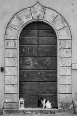 The Doorkeeper Poster och Canvastavla