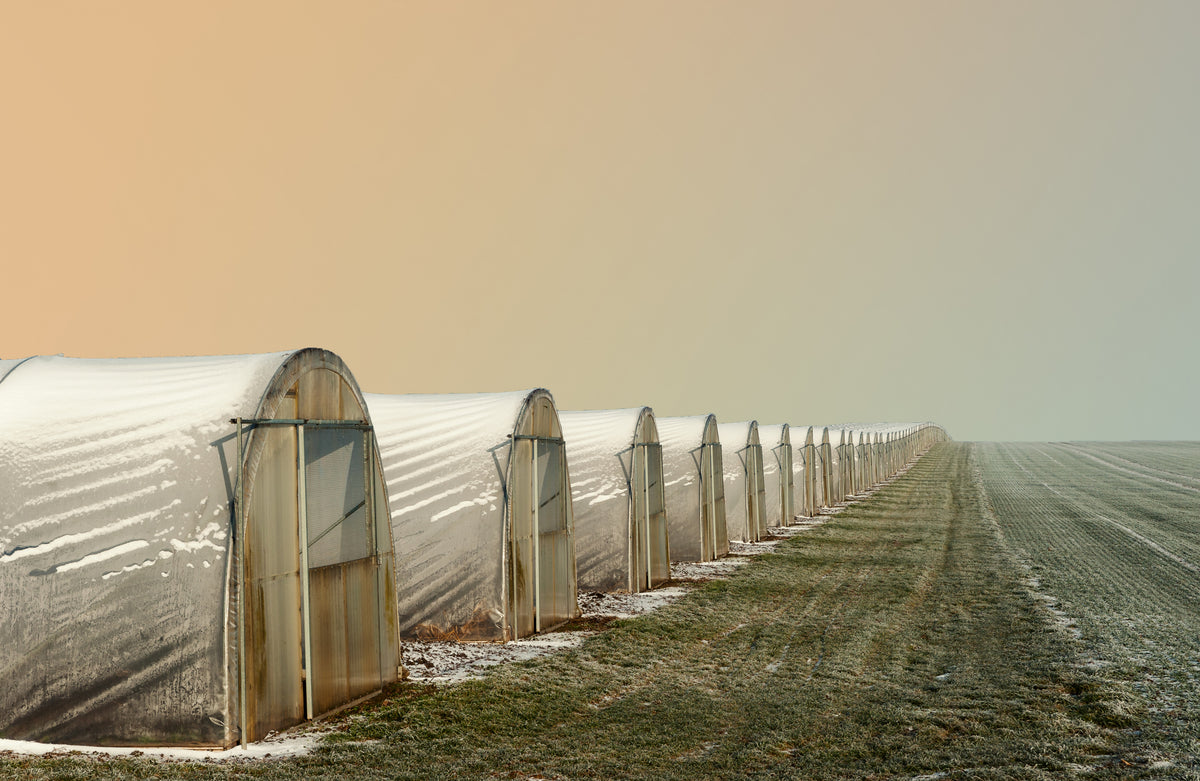 Greenhouses in winter Poster och Canvastavla