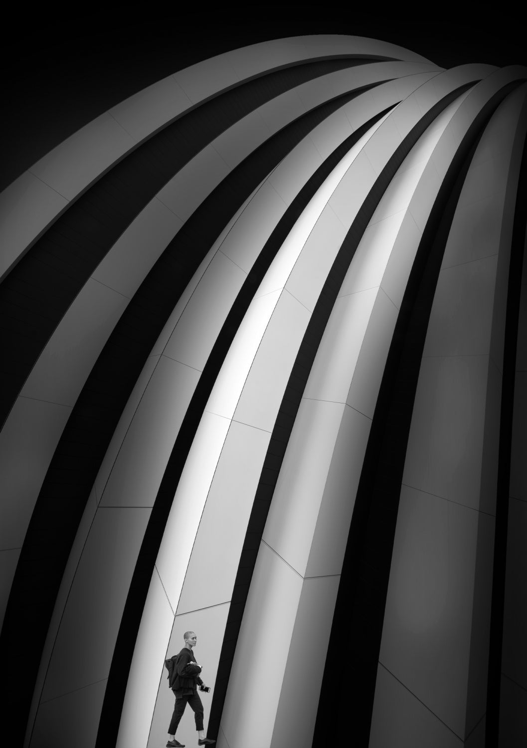 Curves Poster och Canvastavla