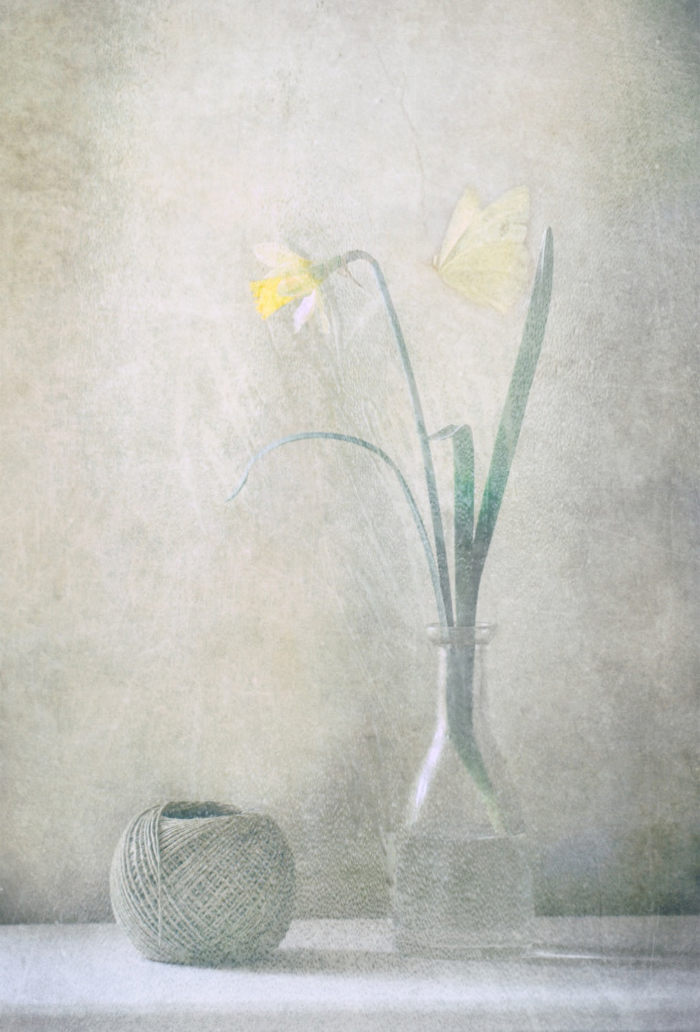 Spring at Home Poster och Canvastavla