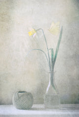 Spring at Home Poster och Canvastavla