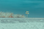 Welcome to the beach Poster och Canvastavla