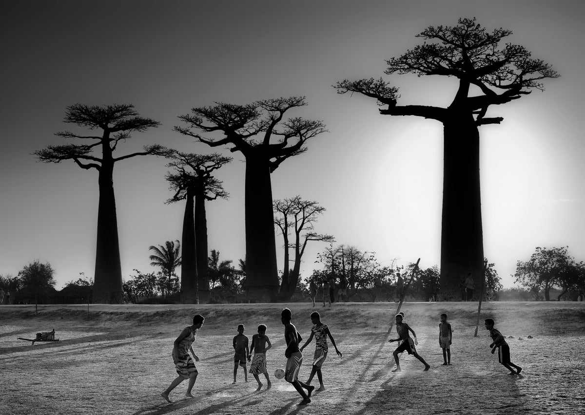 Soccer at sunset Poster och Canvastavla