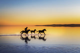 gallop Poster och Canvastavla