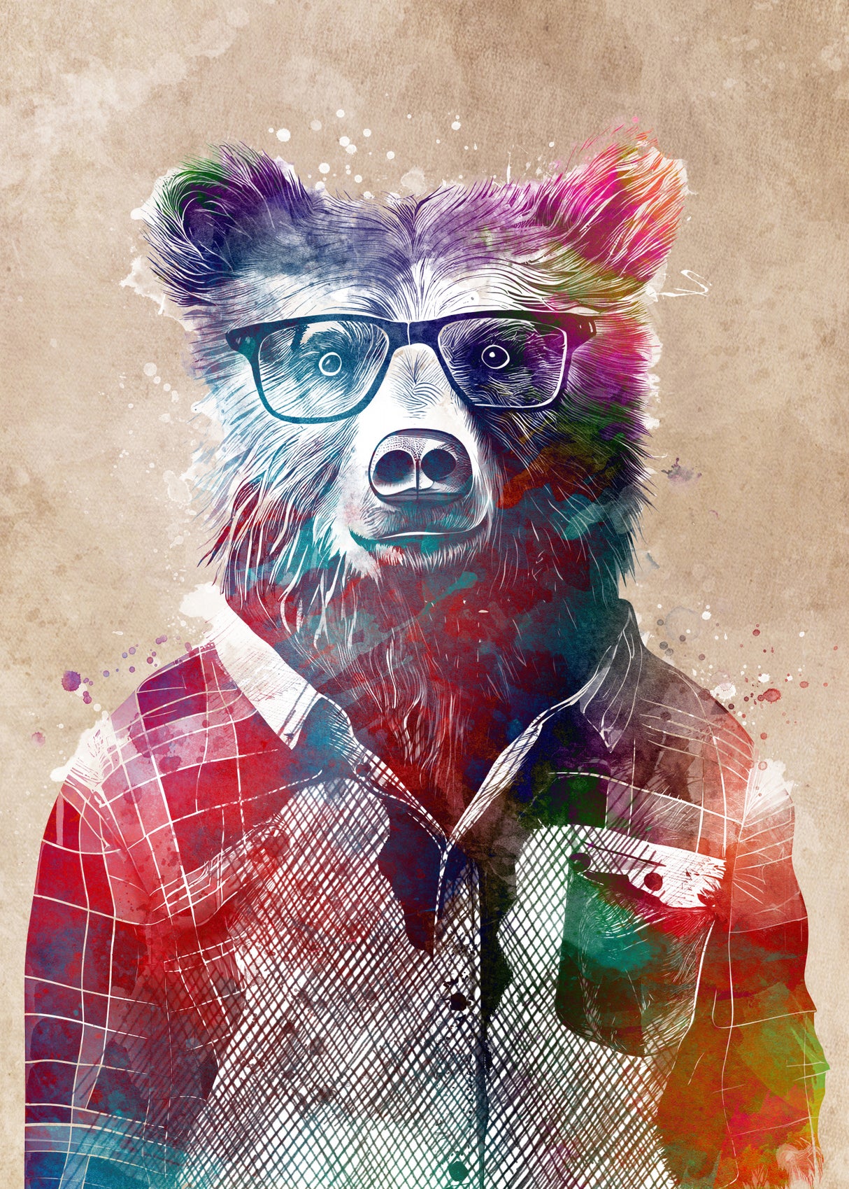 Hipster Bear Poster och Canvastavla