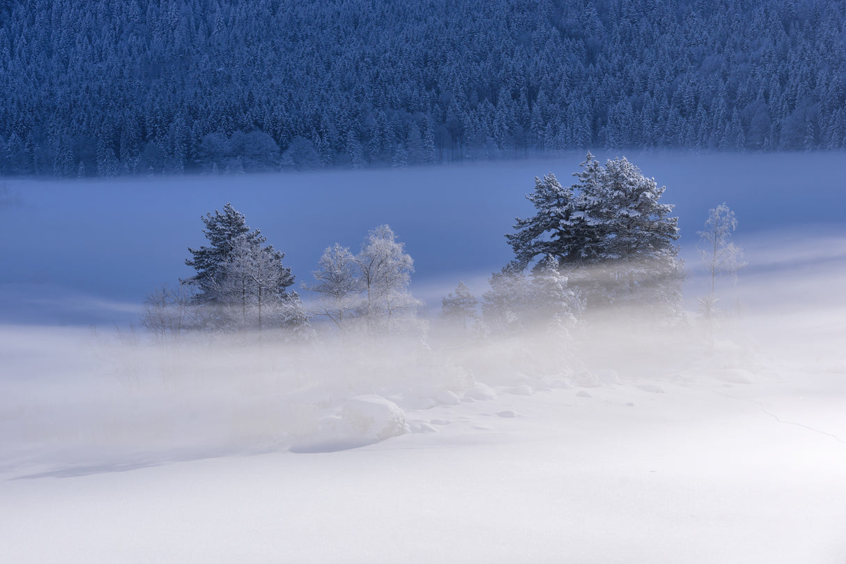 Frozen Lake Poster och Canvastavla