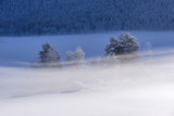 Frozen Lake Poster och Canvastavla