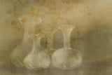 Still life Poster och Canvastavla