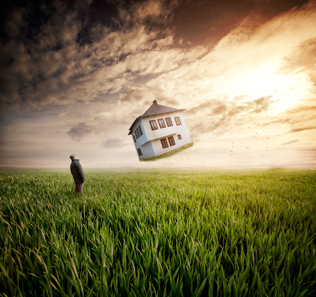 Dream about home Poster och Canvastavla