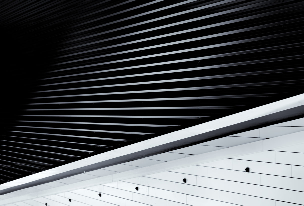 All about lines Poster och Canvastavla