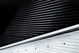 All about lines Poster och Canvastavla
