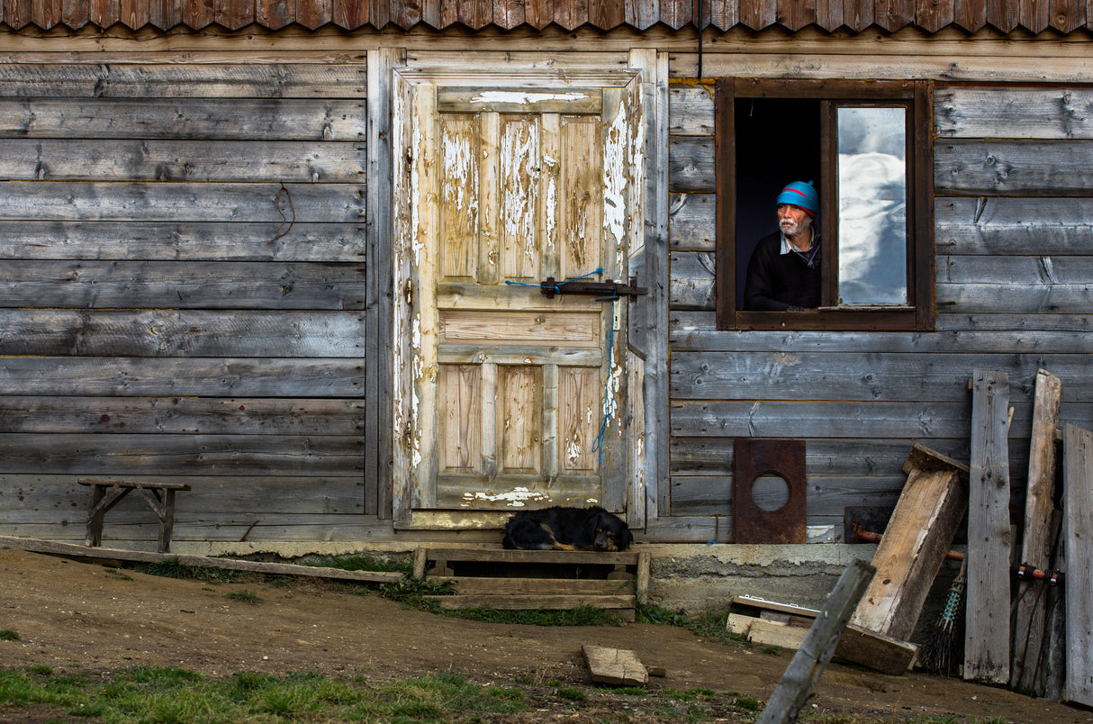 A man, a dog, an empty chair Poster och Canvastavla