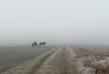 Carriage in the fog Poster och Canvastavla