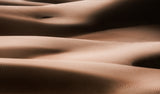 Bodies Poster och Canvastavla