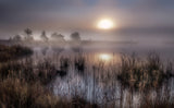 Autumn At the lake Poster och Canvastavla