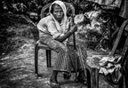 Elderly Rohingya refugee woman. Poster och Canvastavla
