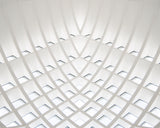 Arcs and Squares Poster och Canvastavla