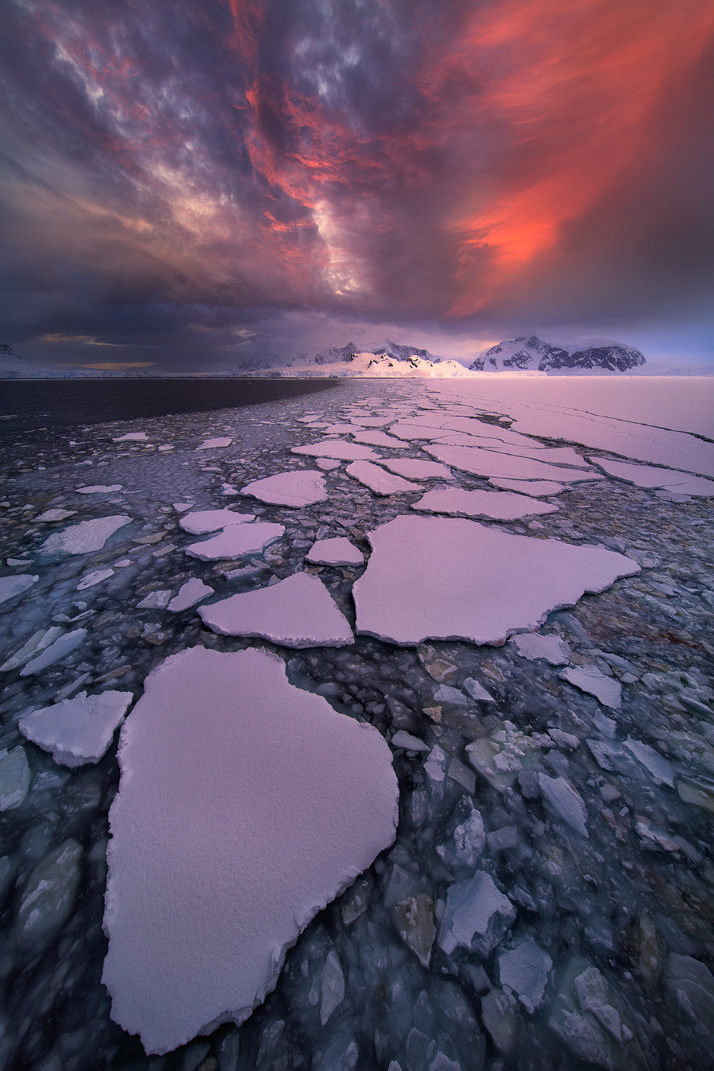 Antarctica fire Poster och Canvastavla