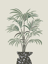 Indoor Pot Palm Poster och Canvastavla
