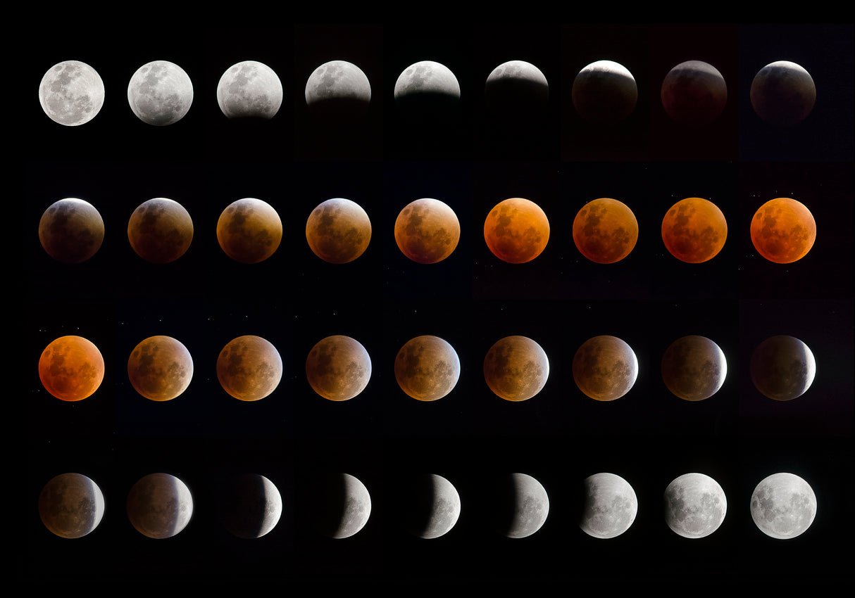 Lunar Eclipse Poster och Canvastavla