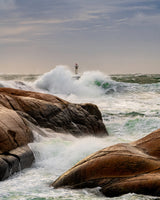 Coast of Bohuslän Poster och Canvastavla