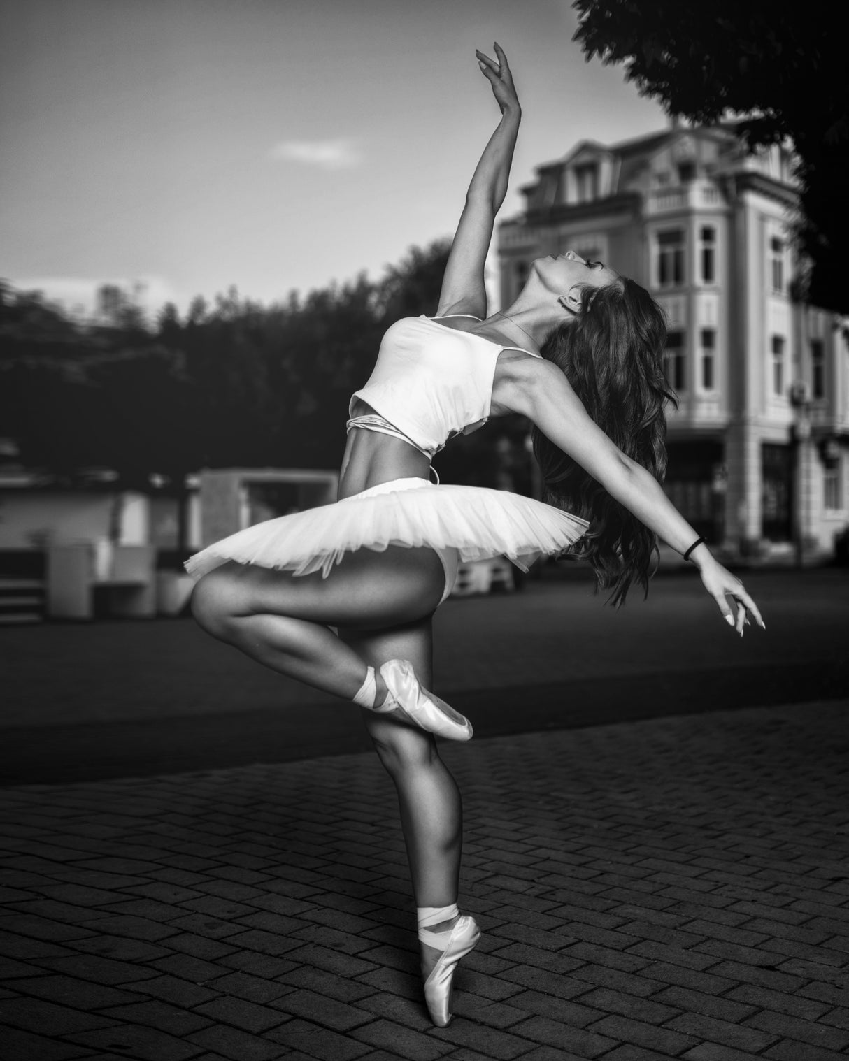 Ballerina Poster och Canvastavla