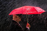 Getting Wet  2384 Poster och Canvastavla