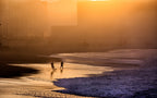Playing football on the shore Poster och Canvastavla