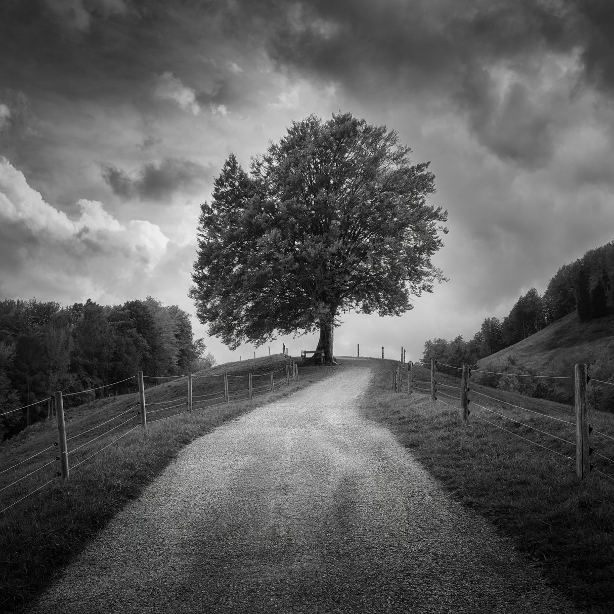 Beneath Black Skies Poster och Canvastavla