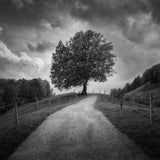 Beneath Black Skies Poster och Canvastavla