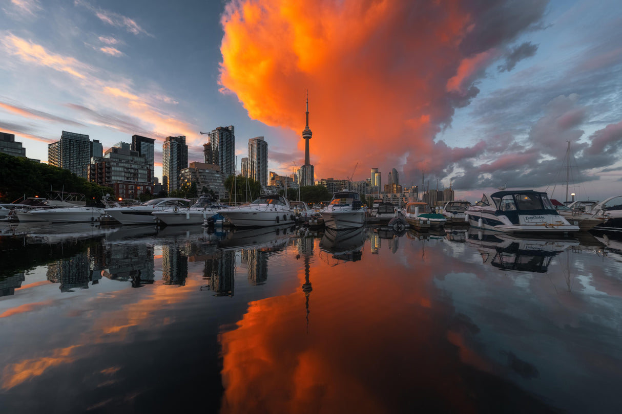 Burn in Toronto Poster och Canvastavla