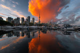 Burn in Toronto Poster och Canvastavla