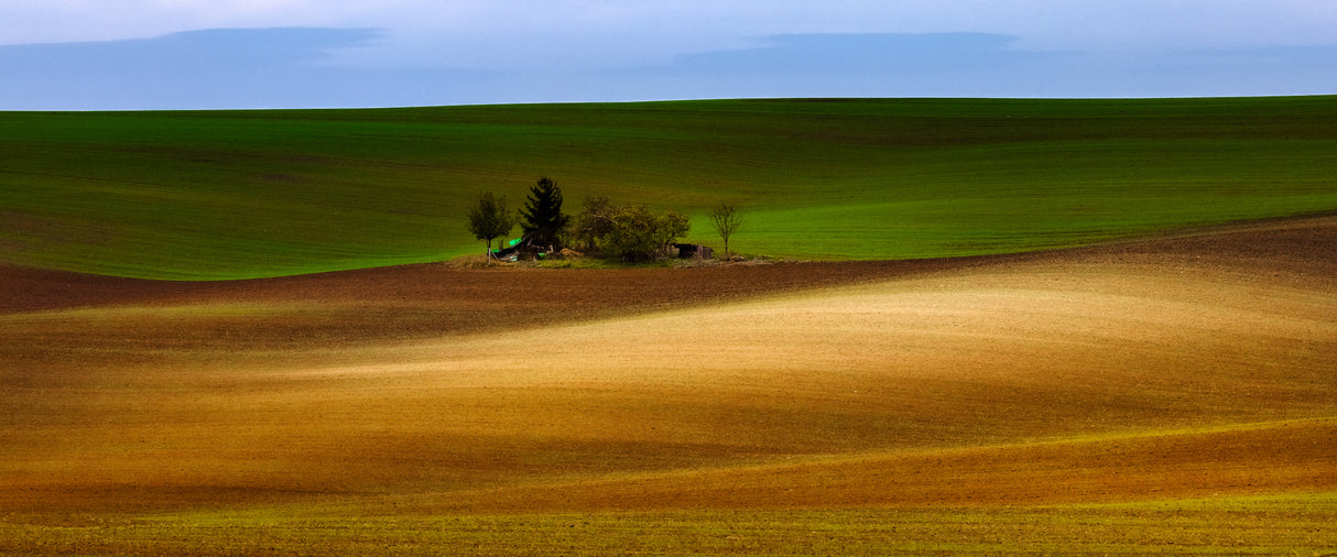 Moravia autumn 3 Poster och Canvastavla