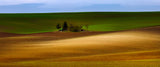 Moravia autumn 3 Poster och Canvastavla