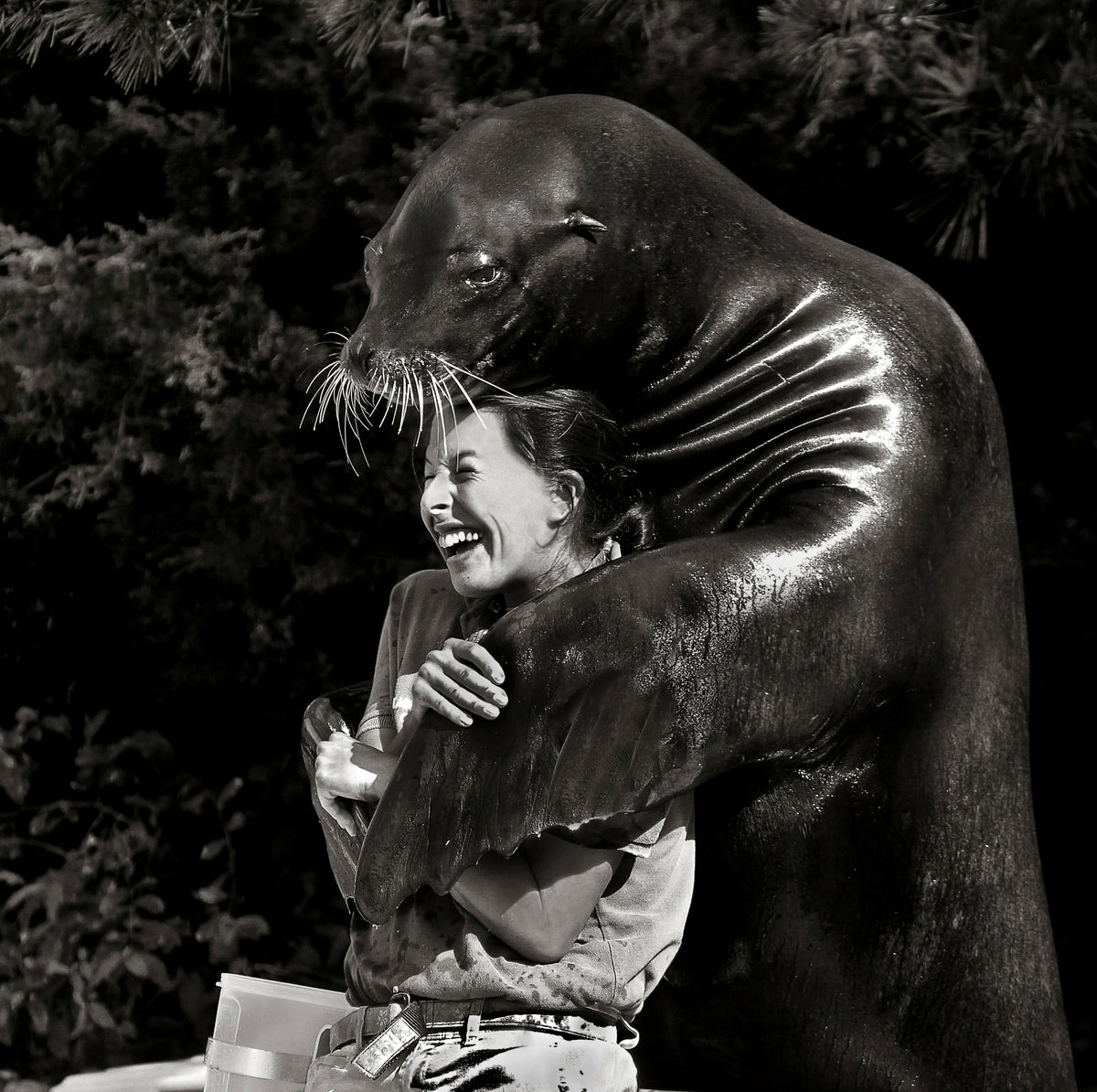 Gimme a Hug Poster och Canvastavla