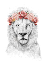 Festival lion Poster och Canvastavla