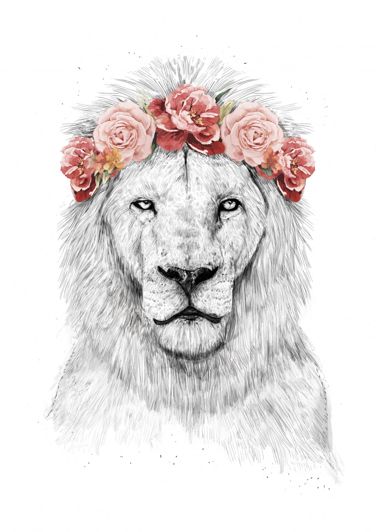 Festival lion Poster och Canvastavla