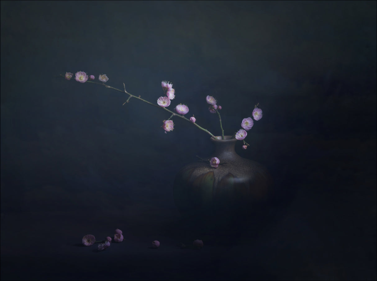 暗香疏影 Alluring scent Poster och Canvastavla