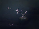 暗香疏影 Alluring scent Poster och Canvastavla