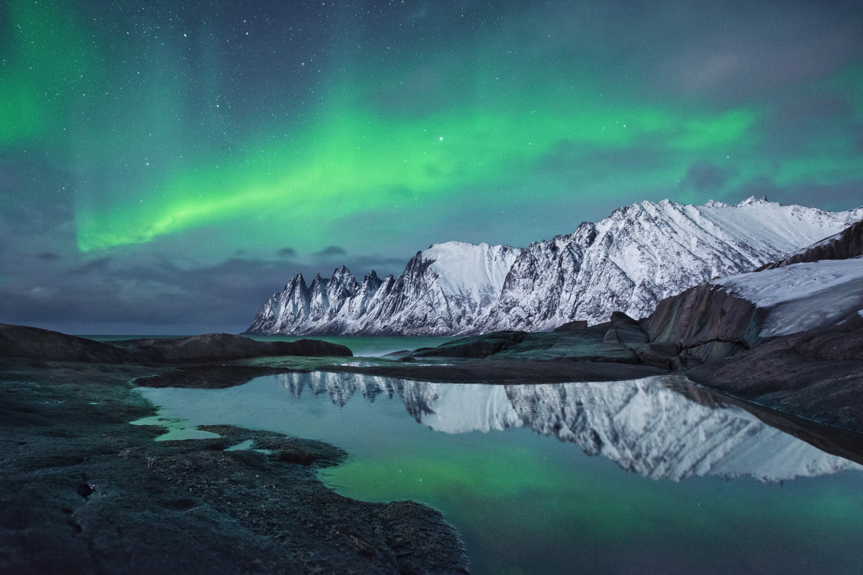 Aurora Night Poster och Canvastavla